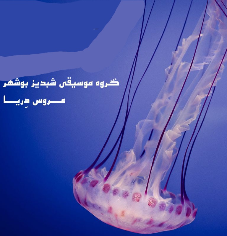 گروه شبدیز بوشهر صدای بهار